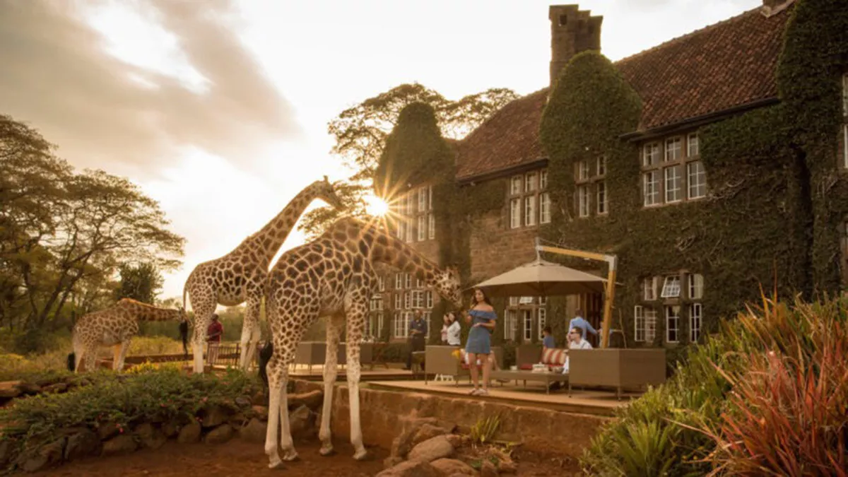 Quênia Safari em Família by andBeyond